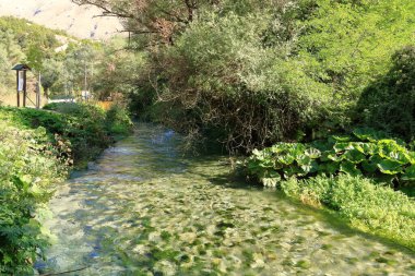 Blue Eye Water Spring ve Syri i Kalter çevresindeki manzara