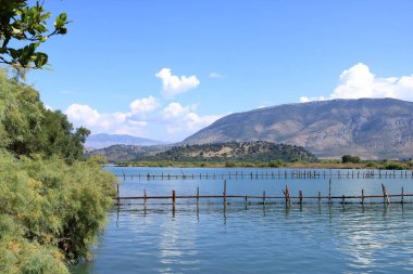 the Shore of Lake Butrint lagoon in Butrint National Park, Albania clipart