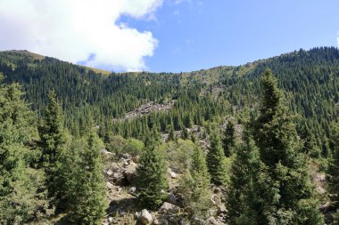 Kırgızistan 'ın kuzeyindeki Kyrchyn Gorge, Orta Asya