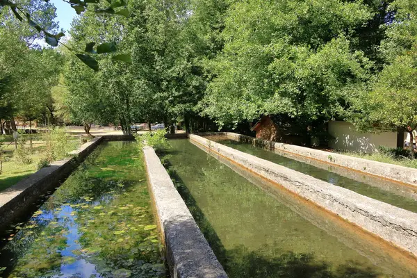Arnavutluk 'ta Avrupa' da alabalık üretimi