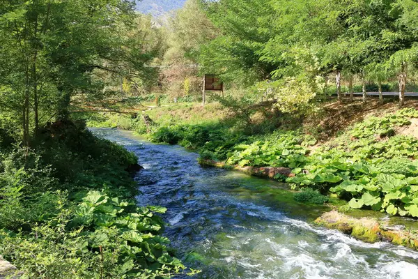 Beautiful Landscape around Blue Eye Water Spring, Syri i Kalter in Albania