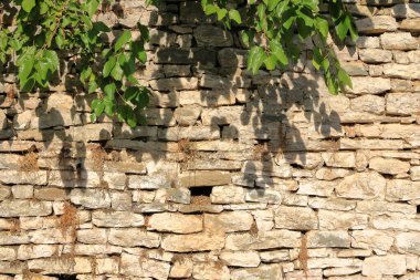 Doğal sarı taş bir duvar.