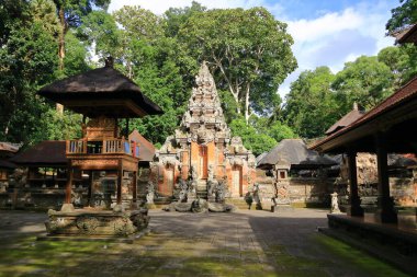 Ubud, Bali, Endonezya 'daki Maymun Ormanı
