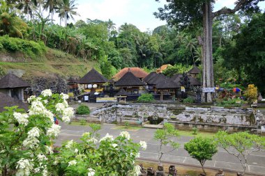 Ubud, Endonezya 'daki Bali - 31 Ocak 2024: İnsanlar Goa Gajah Tapınağını ziyaret ediyor