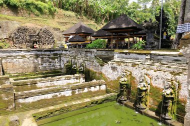 Ubud, Endonezya 'daki Bali - 31 Ocak 2024: İnsanlar Goa Gajah Tapınağını ziyaret ediyor
