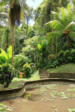 Goa Gajah 'daki yeşil bahçe (Fil Mağarası) Ubud yakınlarında, Endonezya' da Bali