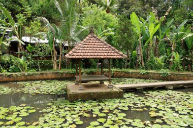 Goa Gajah 'daki yeşil bahçe (Fil Mağarası) Ubud yakınlarında, Endonezya' da Bali