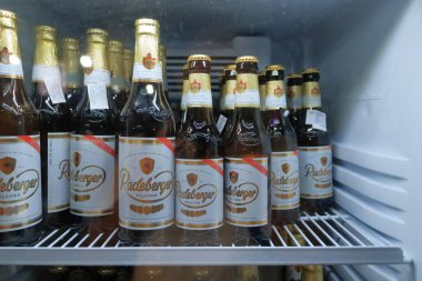 22 Eylül 2023 - Arnavutluk 'ta Tiran: Radeberger Pilsner Bira Fabrikası birasını Arnavutluk' ta hizmete soktu