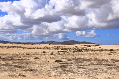 Corralejo, İspanya 'daki Fuerteventura Kanarya Adası - 25 Kasım 2023: insanlar kum tepelerinde yürüyor