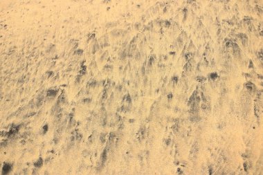Atlantik Okyanusu kumlu kum dokusu, Fuerteventura. Siyah ve sarı kum