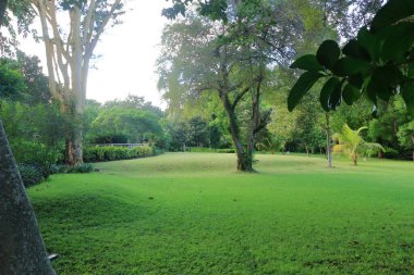 Tatil için lüks bir otel, Bali, Endonezya