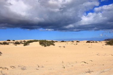 Fuerteventura Kanarya Adası 'ndaki kumul Corralejo manzarası