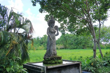Ubud, Bali, Endonezya 'daki Maymun Ormanı