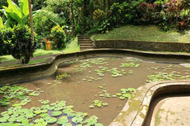 Goa Gajah 'daki yeşil bahçe (Fil Mağarası) Ubud yakınlarında, Endonezya' da Bali