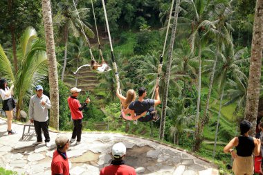 Endonezya 'daki Tegallalang, Bali - 31 Ocak 2024: Güzel insanlar pirinç tarlasında sallanıyor