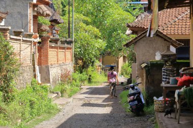 Endonezya 'da Tenganan, Bali - Şubat 08 2024: insanlar köydeki günlük hayatlarını yaşıyorlar