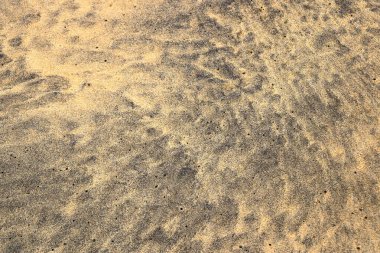 Atlantik Okyanusu kumlu kum dokusu, Fuerteventura. Siyah ve sarı kum