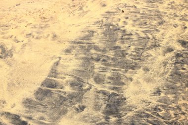 Atlantik Okyanusu kumlu kum dokusu, Fuerteventura. Siyah ve sarı kum