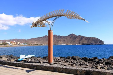 Gran Tarajal, Fuerteventura, İspanya 'daki Kanarya Adaları - 27 Kasım 2023: Karaya oturmuş Cuvier' in iskeleti veya açık gökyüzüne karşı gagalı balina manzarası