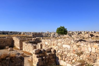 Ürdün 'deki Amman - Mayıs 07 2024: İnsanlar şehir manzarasının arka planındaki antik kale Herkül Tapınağı' nın kalıntılarının keyfini çıkarıyorlar.
