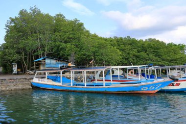 Menjangan, Bali, Endonezya 'daki göl kıyısında geleneksel ahşap tekneler.
