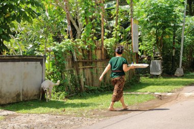 Endonezya 'da Tenganan, Bali - Şubat 08 2024: insanlar köydeki günlük hayatlarını yaşıyorlar