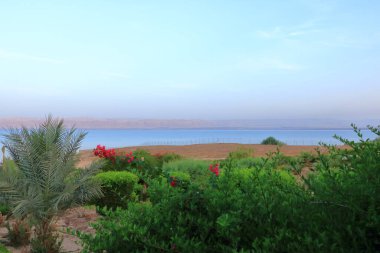 the beach of the dead sea in Sweimeh, Swemeh in Jordan clipart