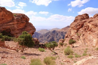 Ürdün 'ün tarihi ve arkeolojik kenti Petra' daki Ad-Deir Patikası Manastırı manzarası