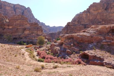 Petra, Ürdün 'deki Wadi Musa - 13 Mayıs 2024: insanlar Kasr Al Bint Tapınağı' na doğru yola çıktılar.