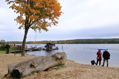 October 30 2023 - Potsdam in Germany: havel river at campsite near the city in autumn clipart