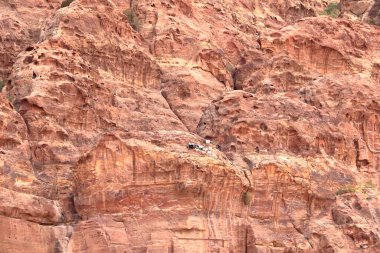 Keçiler Wadi Musa, Petra Ürdün 'de