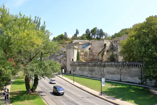 Avignon, Fransa - 25 Ağustos 2024: Köprü manzaralı Rocher des Doms (Dom Rock Park)