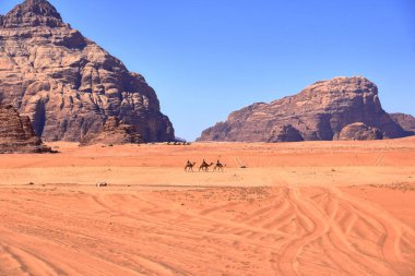 Ürdün 'de Wadi Rum - 15 Mayıs 2024: Vadi rom çölünde deveye binen Bedeviler