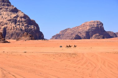 Ürdün 'de Wadi Rum - 15 Mayıs 2024: Vadi rom çölünde deveye binen Bedeviler