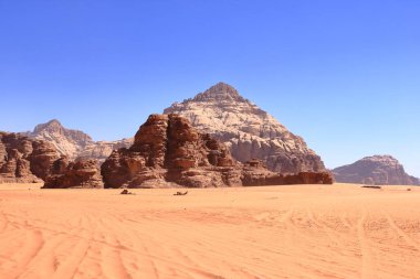 Ürdün 'deki Wadi Rum çölünde develer