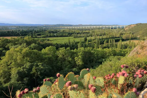 Fransa 'nın Provence kentindeki Avignon yakınlarındaki TGV trenleri için Rhone Nehri üzerindeki uzun köprü Viaduc Double Ferroviaire.