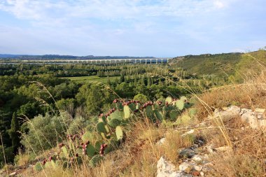 Fransa 'nın Provence kentindeki Avignon yakınlarındaki TGV trenleri için Rhone Nehri üzerindeki uzun köprü Viaduc Double Ferroviaire.