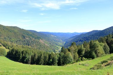 Alsace 'deki Route des Cretes' de manzara manzarası, Fransa 'da yazın Vosges.