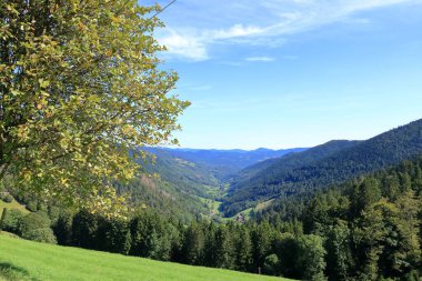 Alsace 'deki Route des Cretes' de manzara manzarası, Fransa 'da yazın Vosges.