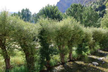 Andorra 'da Pireneler' de küçük bir nehir.