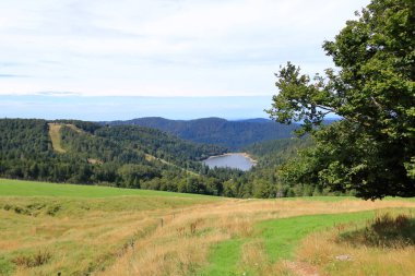 Alsace 'deki Route des Cretes' de manzara manzarası, Fransa 'da yazın Vosges.