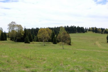 Baharda ağaçlarla ve çayırlarla dolu yeşil bir arazi.