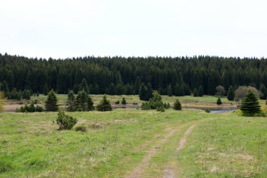 Çek Cumhuriyeti 'ndeki Flaje barajının önündeki manzara ve rezervuar