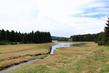 Çek Cumhuriyeti 'ndeki Flaje barajının önündeki manzara ve rezervuar