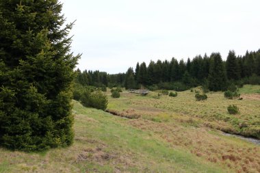 Çek Cumhuriyeti 'nde Flaje yakınlarında küçük bir nehrin üzerinde tahta bir köprü.