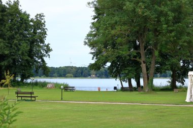 Wandlitz, Brandenburg, Almanya - 26 Temmuz 2024: insanlar küçük bir göl kıyısında sazlıkların keyfini çıkarıyorlar