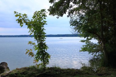 Wandlitz, Brandenburg, Almanya - 26 Temmuz 2024: insanlar küçük bir göl kıyısında sazlıkların keyfini çıkarıyorlar