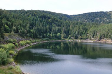 Vosges Lac Noir 'daki kara göl, Fransa' daki Colmar.