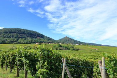 Fransa 'nın Alsace bölgesindeki Eguisheim Şatosu manzaralı bir kale manzarası.