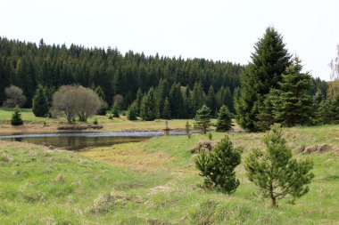Çek Cumhuriyeti 'ndeki Flaje barajının önündeki manzara ve rezervuar